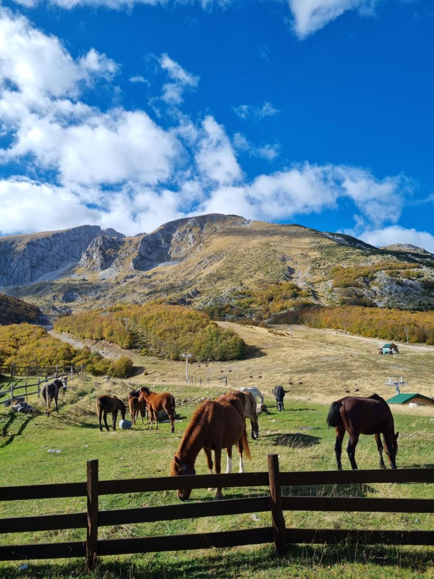 Mountain House Villa Žabljak Buitenkant foto