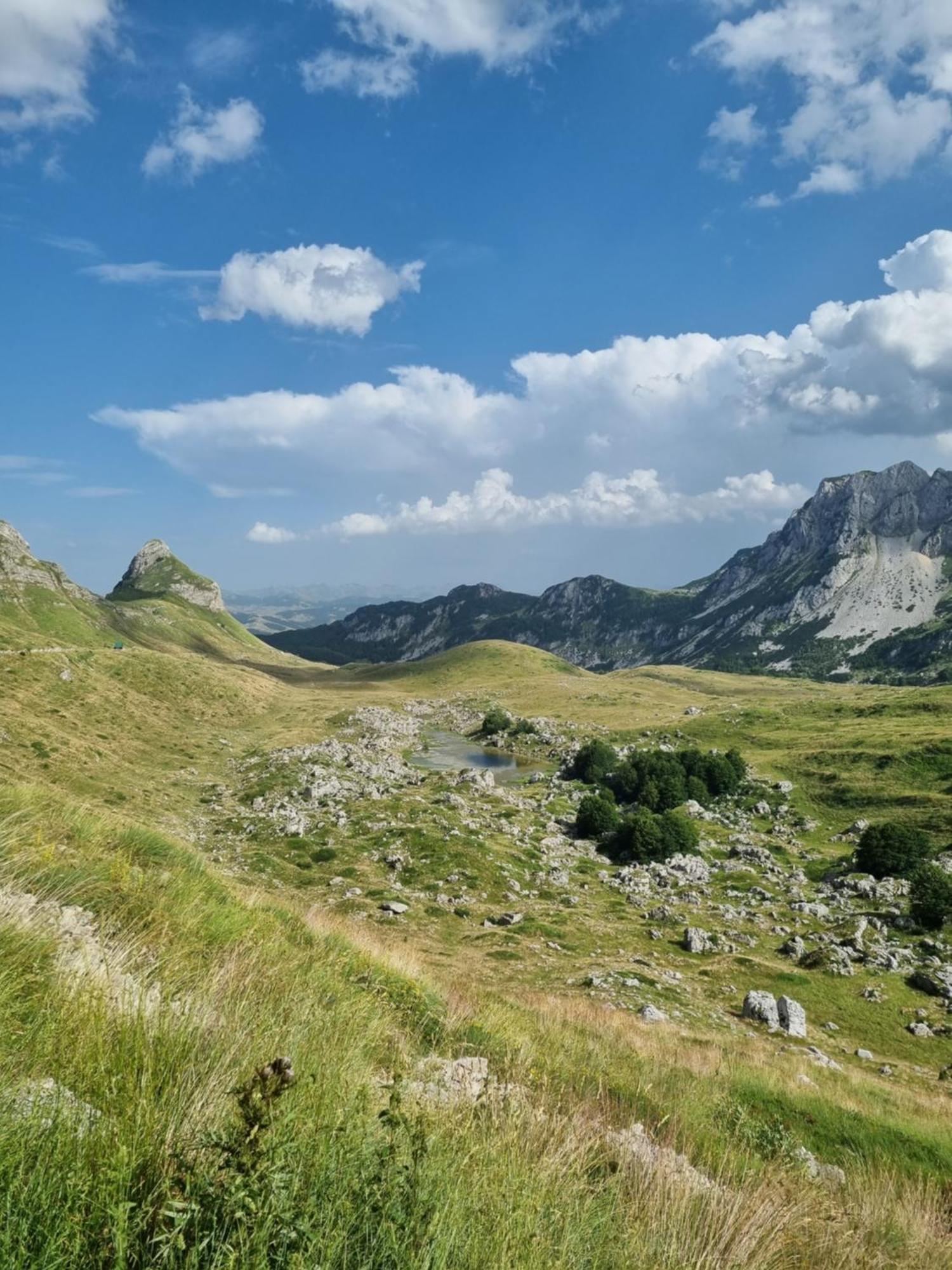 Mountain House Villa Žabljak Buitenkant foto