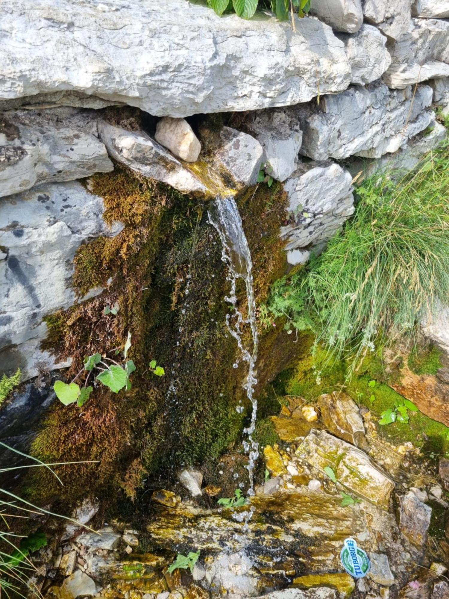 Mountain House Villa Žabljak Buitenkant foto