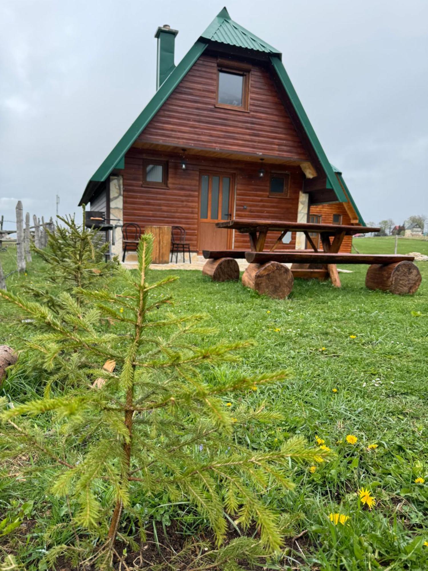 Mountain House Villa Žabljak Buitenkant foto